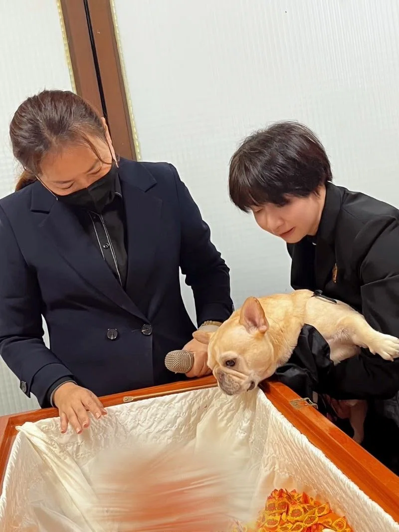 桃園 Ya-Han Chuang